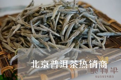 北京普洱茶热销商/2023110585026