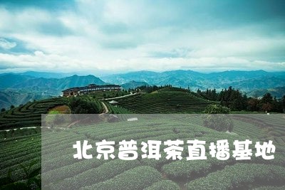 北京普洱茶直播基地/2023121508360