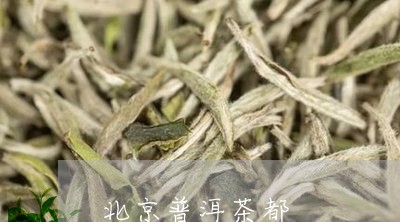 北京普洱茶都/2023042703397