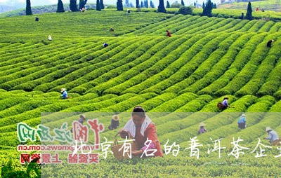 北京有名的普洱茶企业/2023080187380