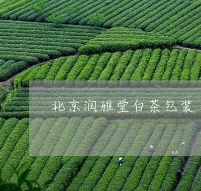 北京润雅堂白茶包装/2023121782746