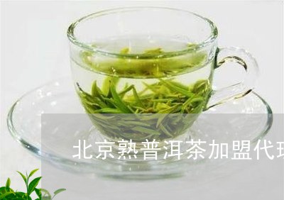 北京熟普洱茶加盟代理/2023092502693