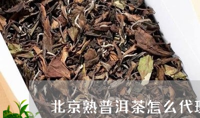 北京熟普洱茶怎么代理/2023092517372