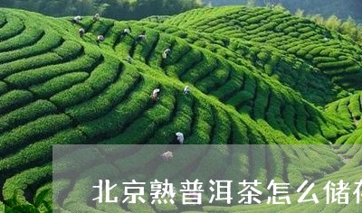 北京熟普洱茶怎么储存/2023100506068