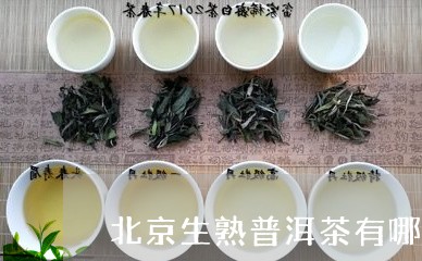 北京生熟普洱茶有哪家/2023100639462