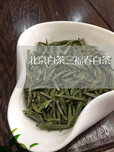 北京白茶三福春白茶/2023121703037