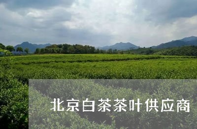 北京白茶茶叶供应商/2023121724046