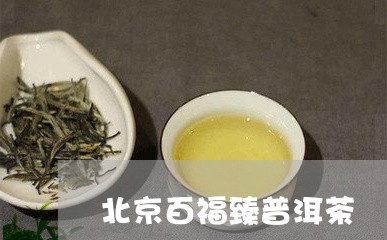 北京百福臻普洱茶/2023120474835