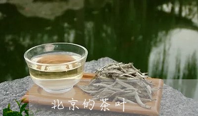 北京的茶叶/2023041809439