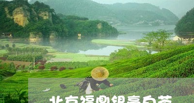 北京福鼎银毫白茶/2023061620748