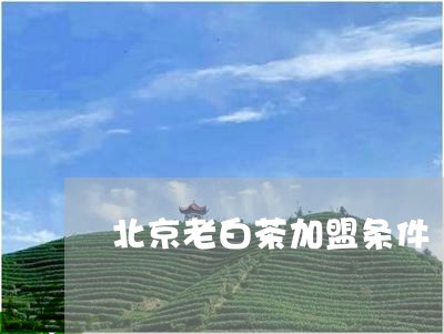 北京老白茶加盟条件/2023121761694