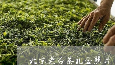 北京老白茶礼盒照片/2023081302150