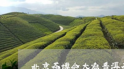 北京茶博会大益普洱茶/2023062405159