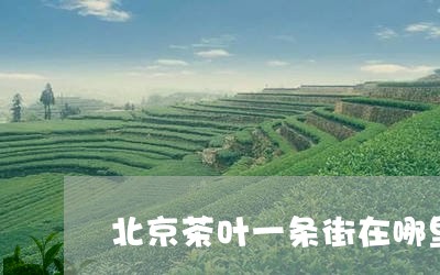 北京茶叶一条街在哪里/2023092251504