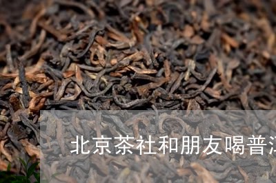 北京茶社和朋友喝普洱茶/2023122023716