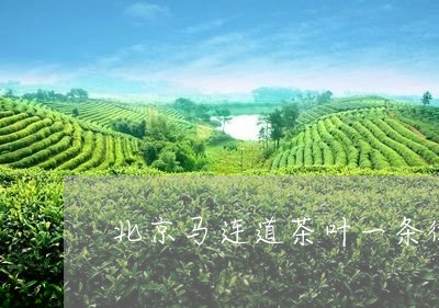 北京马连道茶叶一条街哪家好/2023052699559