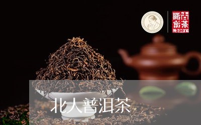 北人普洱茶/2023090559493