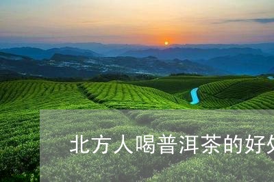 北方人喝普洱茶的好处/2023061683938