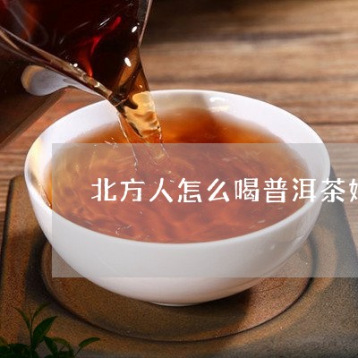 北方人怎么喝普洱茶好呢/2023121541504