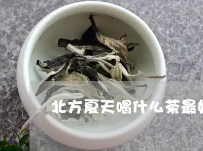 北方夏天喝什么茶最好/2023071409360