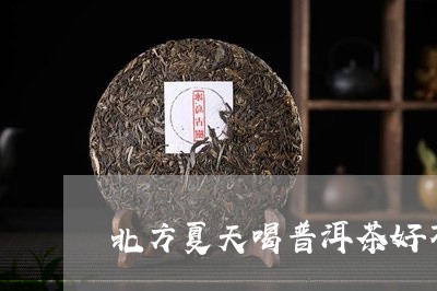 北方夏天喝普洱茶好不好/2023082724959