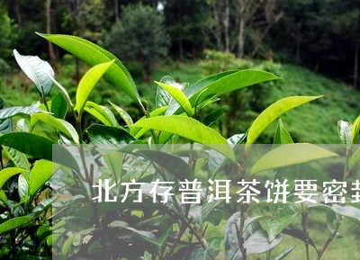 北方存普洱茶饼要密封吗/2023082881714