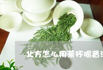 北方怎么用茶杯喝普洱茶/2023081560594