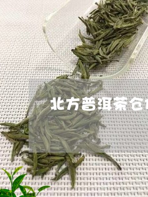 北方普洱茶仓储的诠释/2023080369494