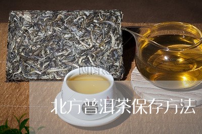 北方普洱茶保存方法/2023070896947