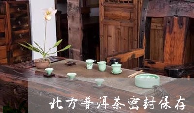 北方普洱茶密封保存/2023091305250