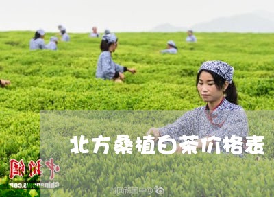 北方桑植白茶价格表/2023121782925