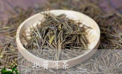北普洱茶/2023121801503