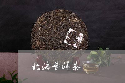 北海普洱茶/2023090678390