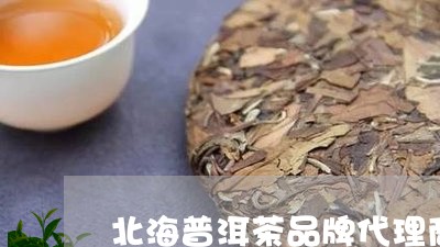 北海普洱茶品牌代理商/2023061445360