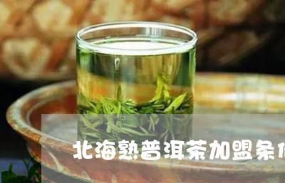 北海熟普洱茶加盟条件/2023092577383