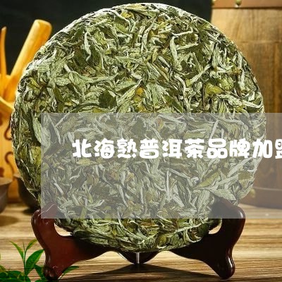 北海熟普洱茶品牌加盟/2023092556059