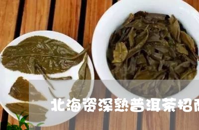 北海资深熟普洱茶招商/2023061422638