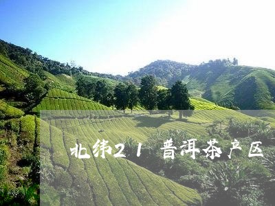 北纬21普洱茶产区/2023062786845