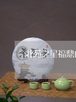 北苑之星福鼎白茶/2023090513614