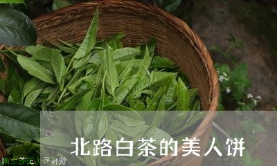 北路白茶的美人饼/2023061649391