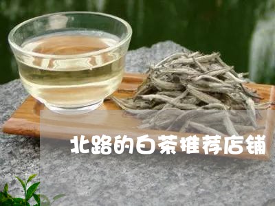 北路的白茶推荐店铺/2023081397293