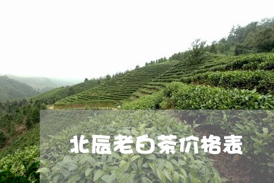 北辰老白茶价格表/2023061608280