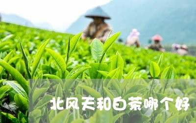 北风天和白茶哪个好/2023081303957