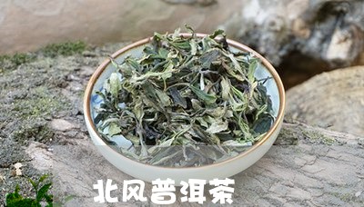 北风普洱茶/2023090502806