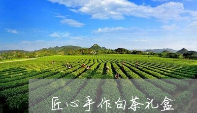 匠心手作白茶礼盒/2023061609281