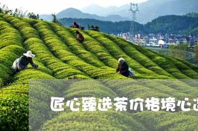 匠心臻选茶价格境心造物茶叶价格/2023060180603