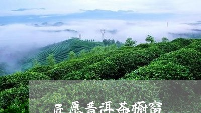 匠愿普洱茶橱窗/2023112649494