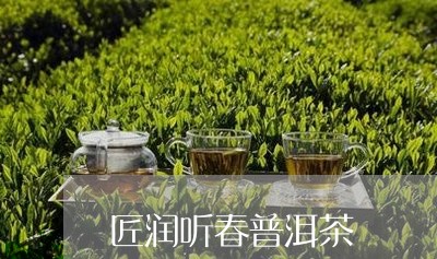 匠润听春普洱茶/2023102650493