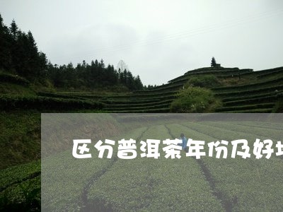 区分普洱茶年份及好坏/2023100827049