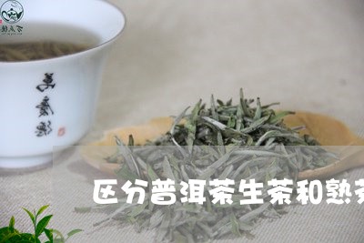 区分普洱茶生茶和熟茶的方法/2023052917383